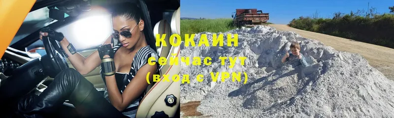 Cocaine FishScale  mega ССЫЛКА  Жуковка 