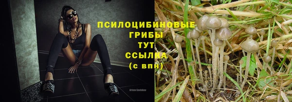 кокаин Горно-Алтайск