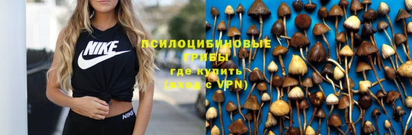 марки nbome Горнозаводск