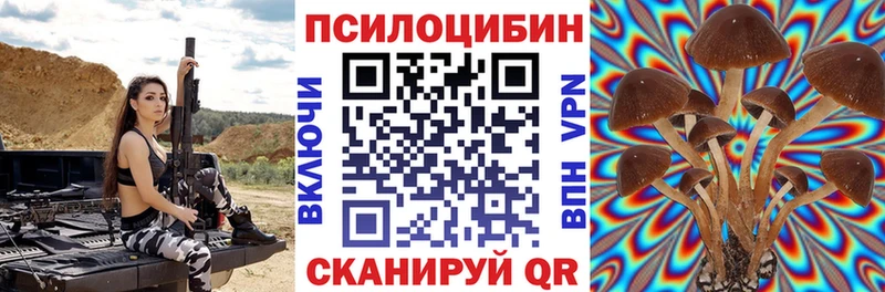 Галлюциногенные грибы Cubensis Жуковка